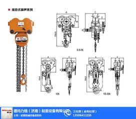 1噸吊掛葫蘆選購(gòu)指南 自貢品質(zhì)與德瑪力格定制服務(wù)詳解